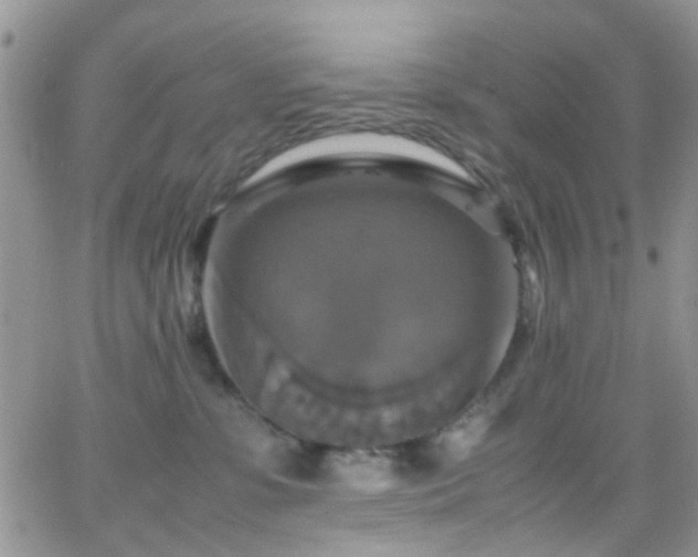 X0000066540331200603171247