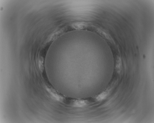 X0000066540332200603171247