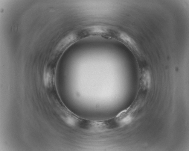 X0000066540333200603171247