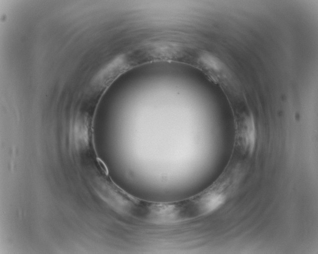 X0000066540334200603171247