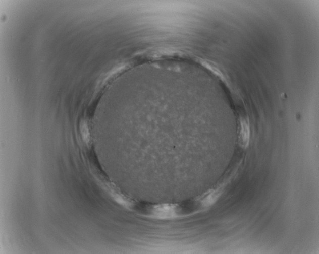 X0000066540335200603171247