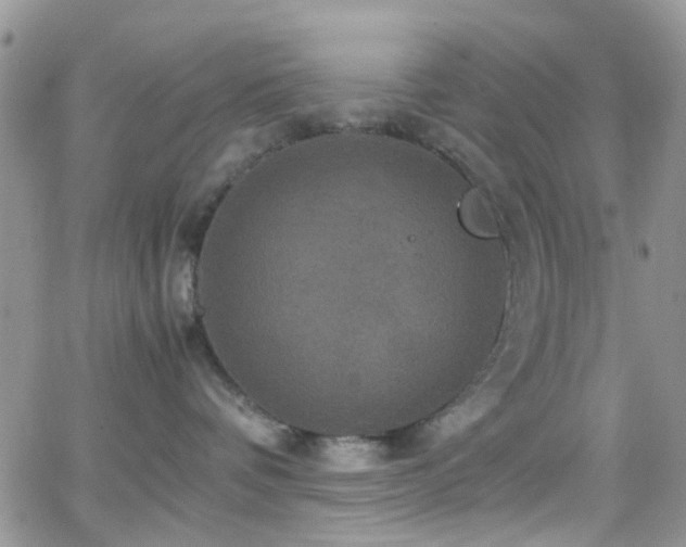 X0000066540336200603171247