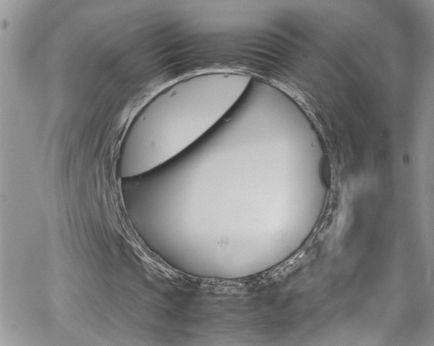 X0000066540337200603171246