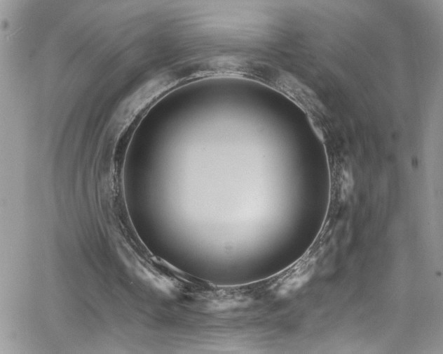 X0000066540338200603171246