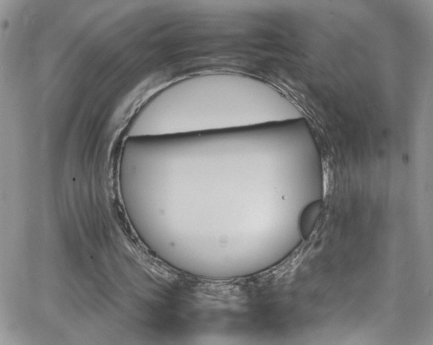 X0000066540339200603171246