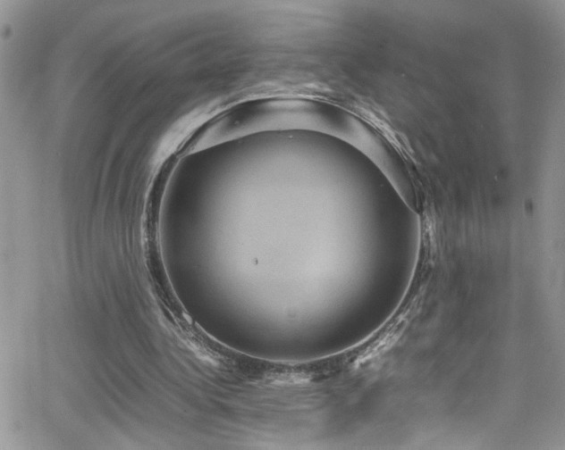 X0000066540340200603171246