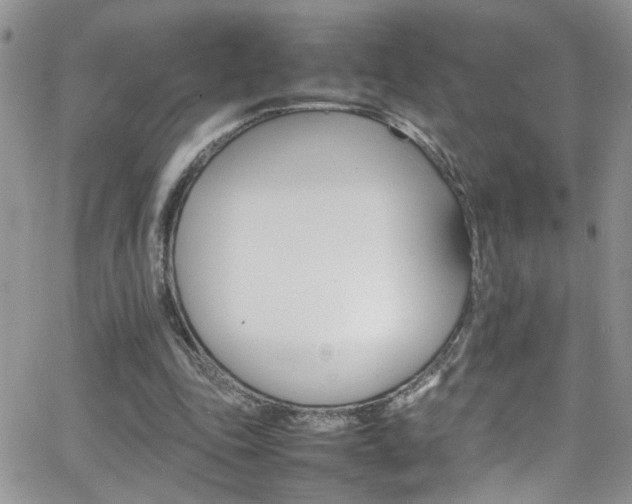 X0000066540343200603171246