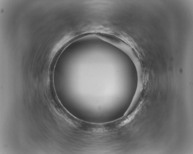 X0000066540344200603171246