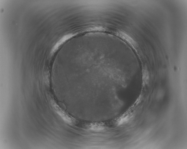 X0000066540345200603171246