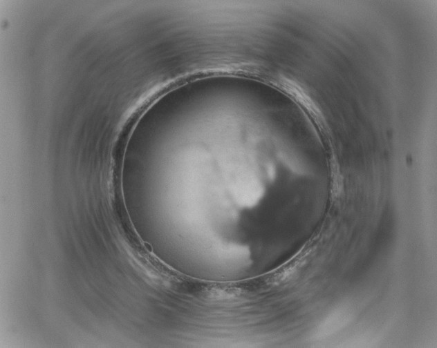 X0000066540346200603171246