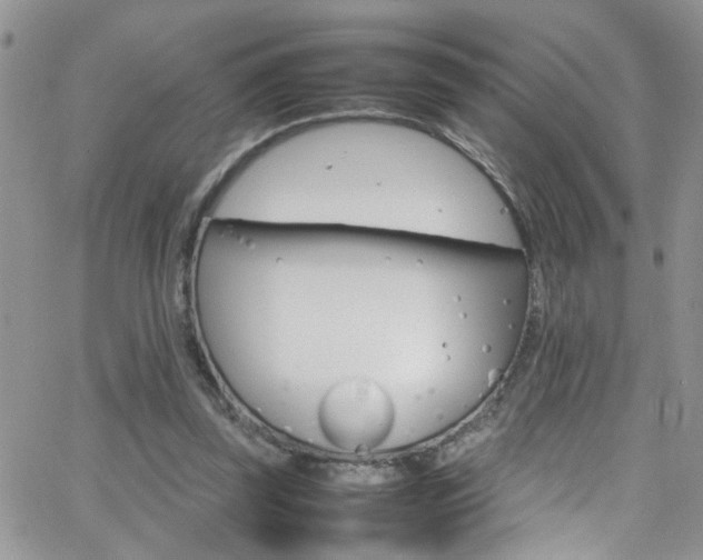 X0000066540347200603171246