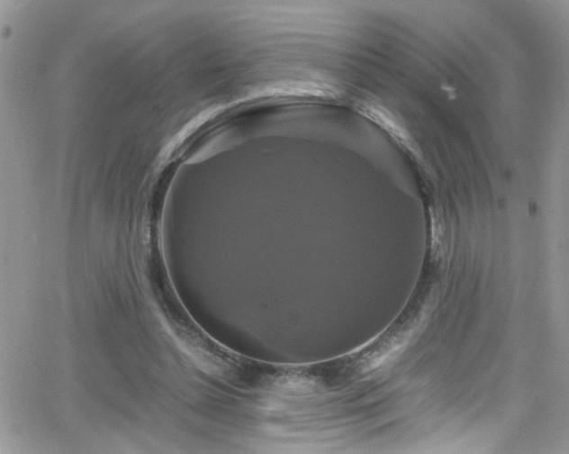 X0000066540348200603171246