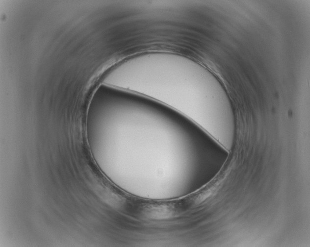 X0000066540349200603171246