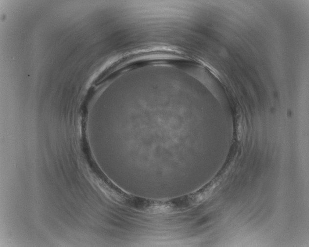 X0000066540350200603171246