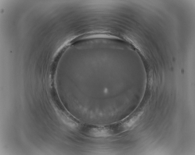 X0000066540351200603171246