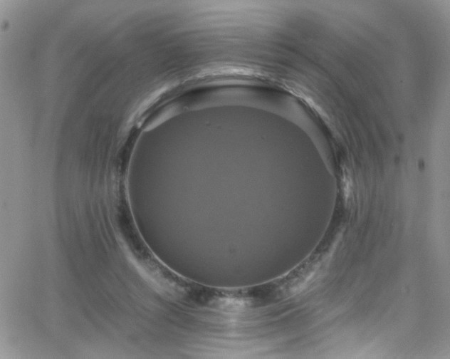 X0000066540352200603171246