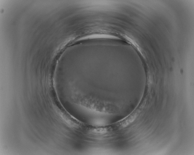 X0000066540353200603171246