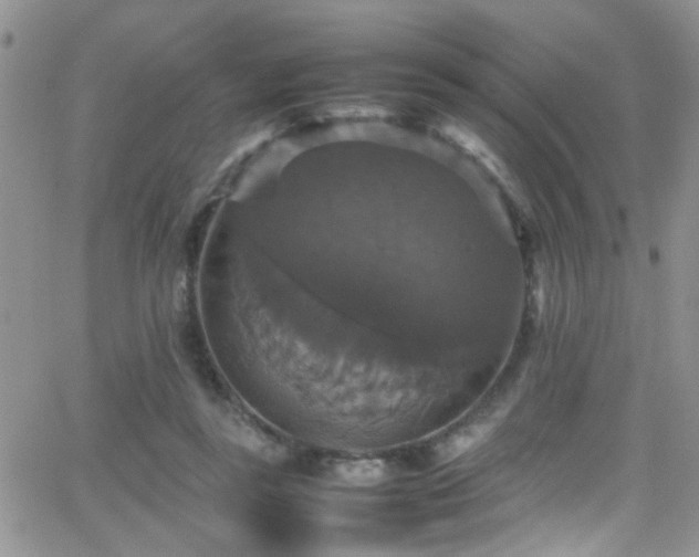 X0000066540355200603171246