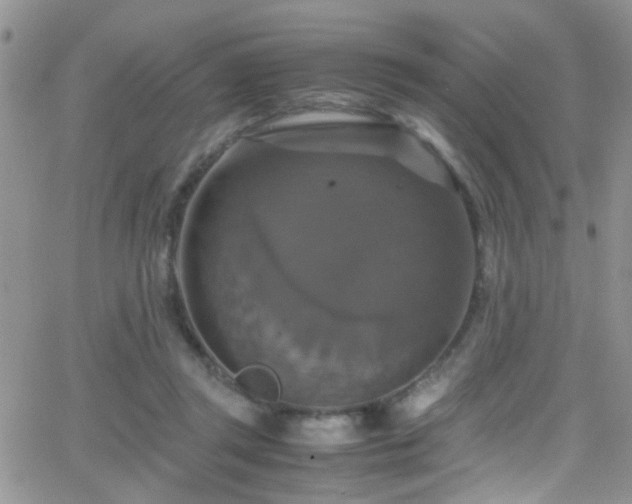 X0000066540357200603171246