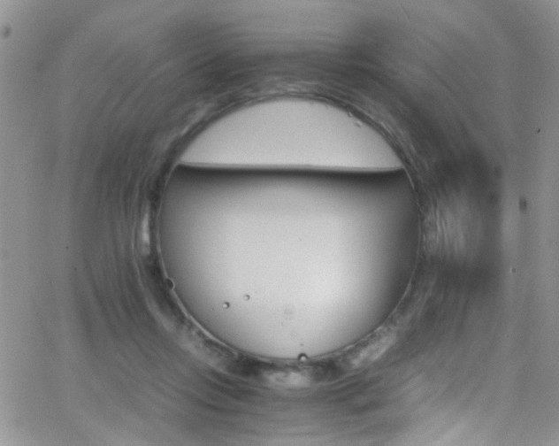 X0000066540358200603171246