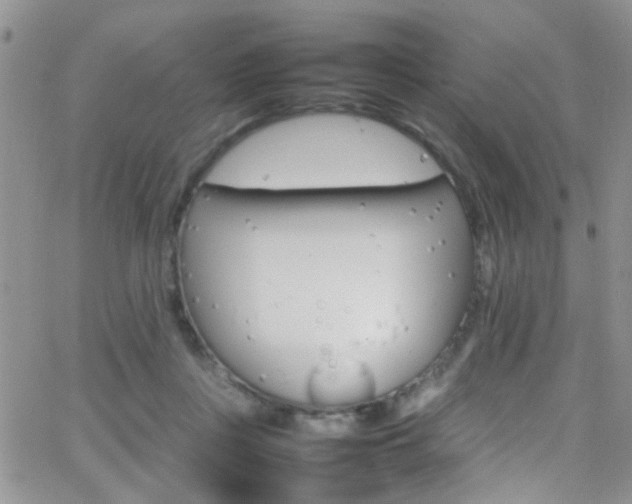 X0000066540359200603171246