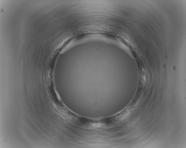 X0000066540360200603171246