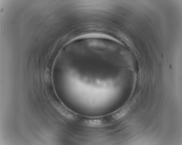 X0000066540361200603171246