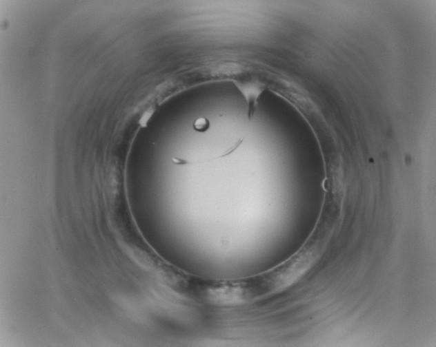 X0000066540362200603171246