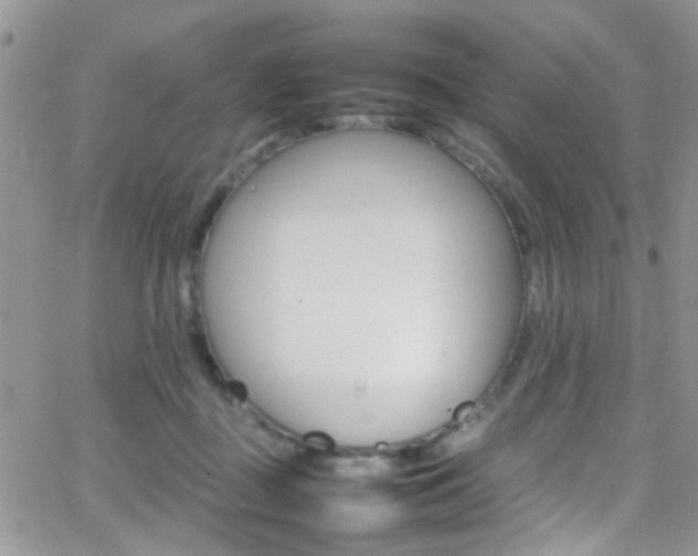 X0000066540363200603171246