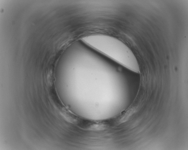 X0000066540364200603171246