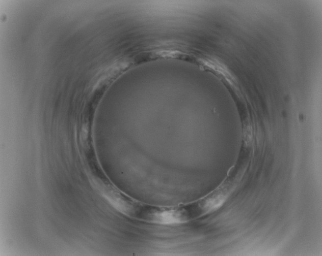 X0000066540365200603171246