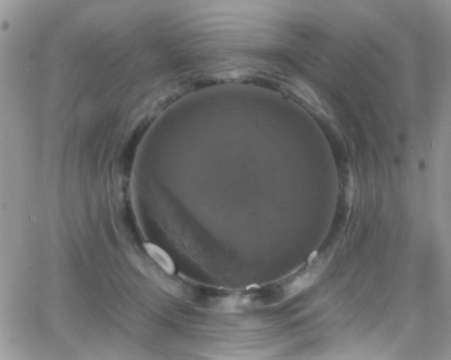 X0000066540366200603171246