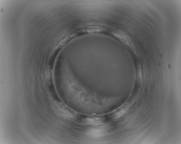 X0000066540367200603171246