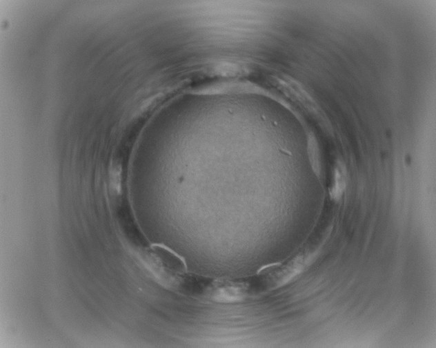 X0000066540368200603171246