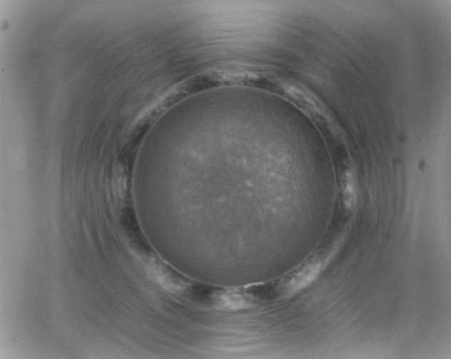 X0000066540372200603171246