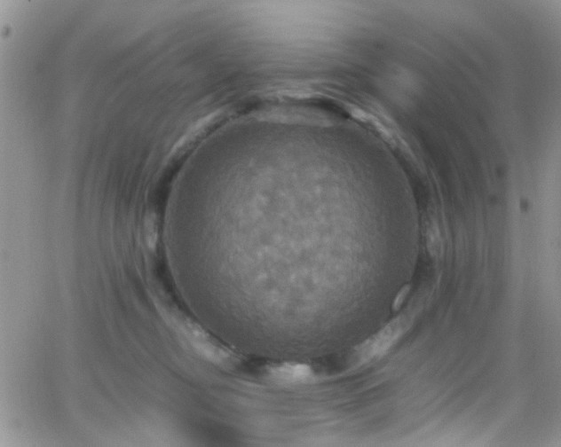 X0000066540374200603171246