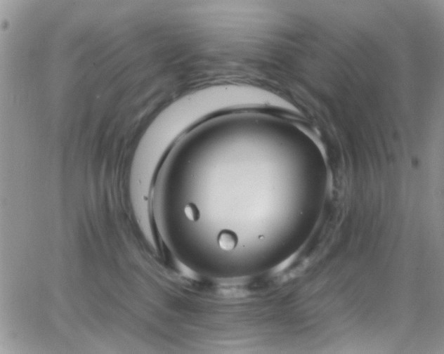 X0000066540376200603171247