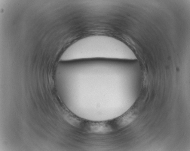 X0000066540377200603171247