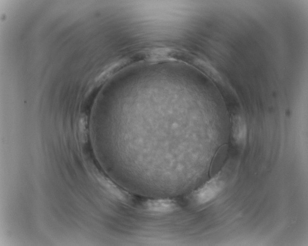 X0000066540378200603171247