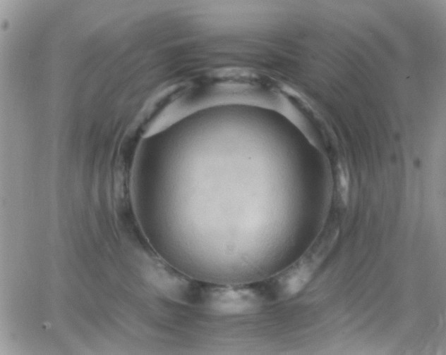 X0000066540379200603171247