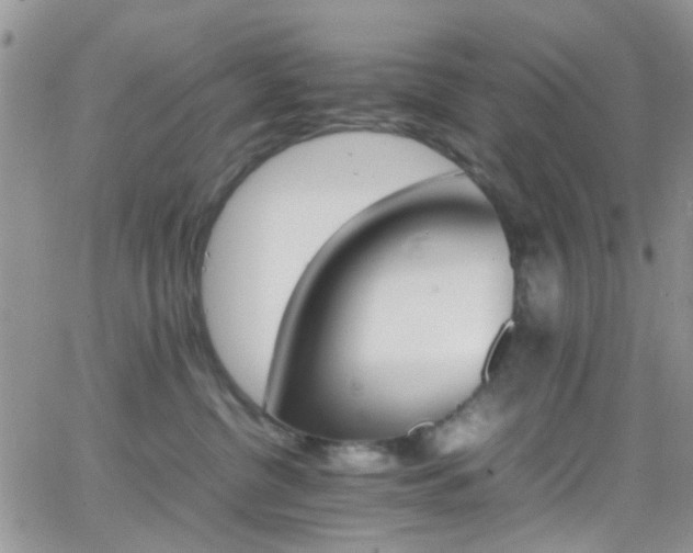 X0000066540380200603171247