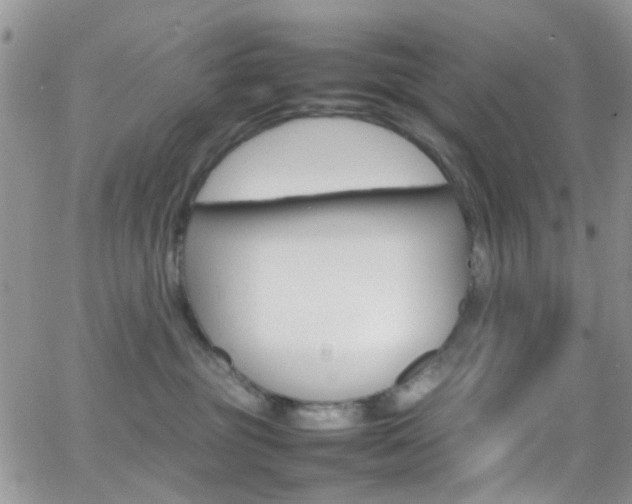 X0000066540381200603171247