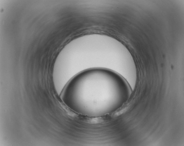 X0000066540382200603171247