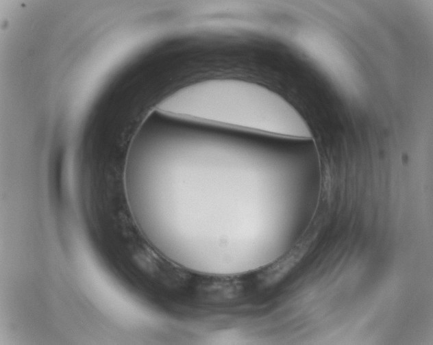 X0000066540383200603171247