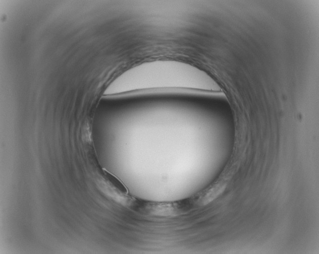 X0000066540384200603171247