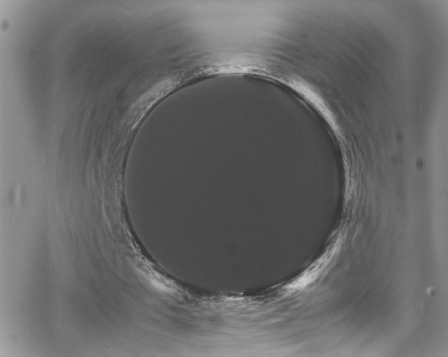 X0000066540385200603171246