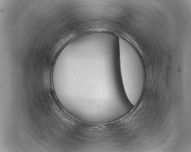 X0000066540386200603171246