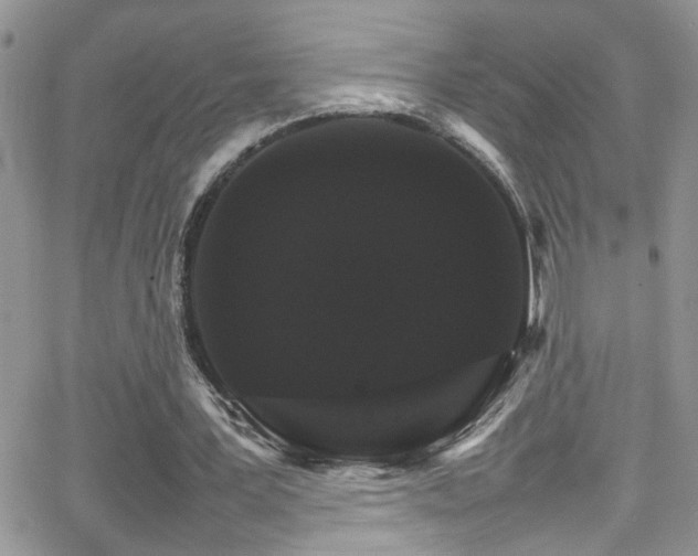 X0000066540387200603171246