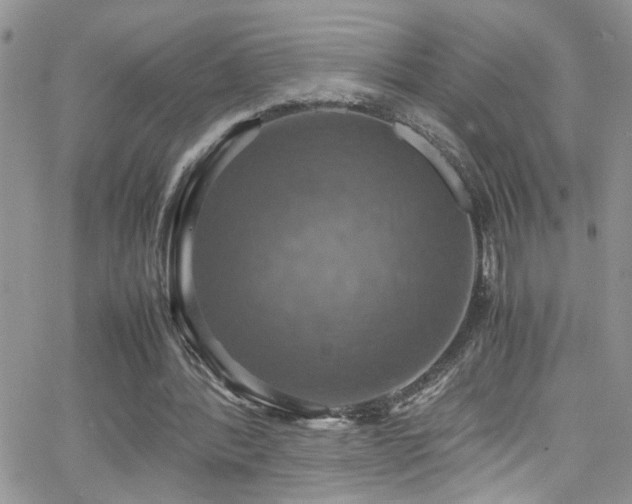 X0000066540388200603171246