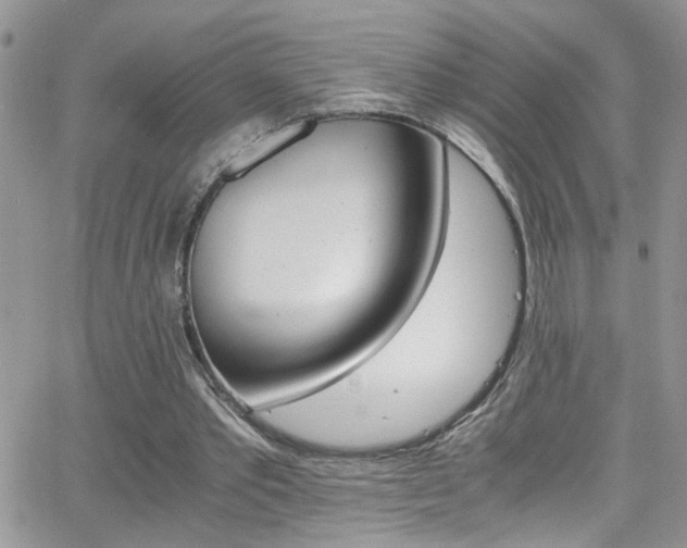 X0000066540389200603171246